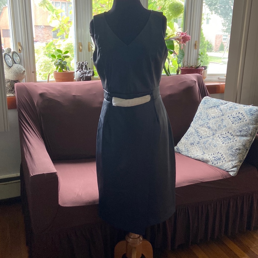 Blue tahari dress